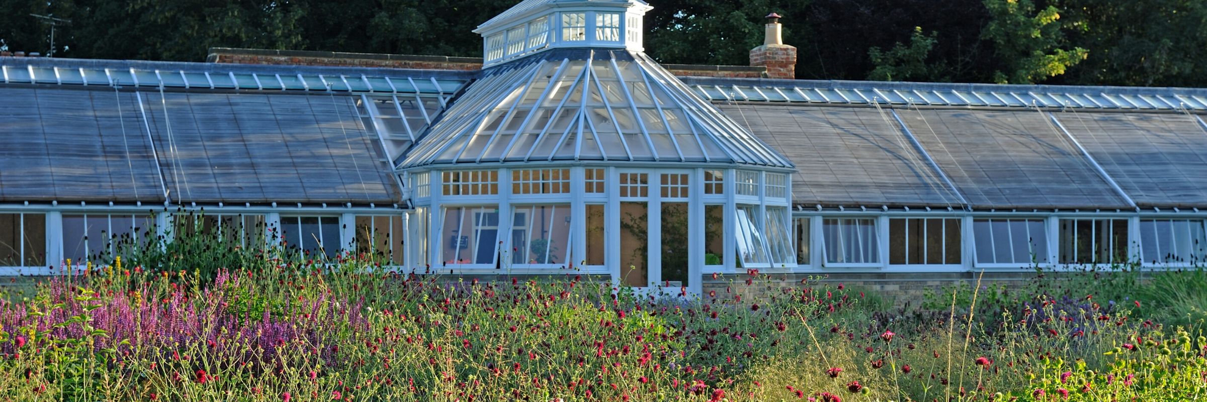 Scampston Conservatory